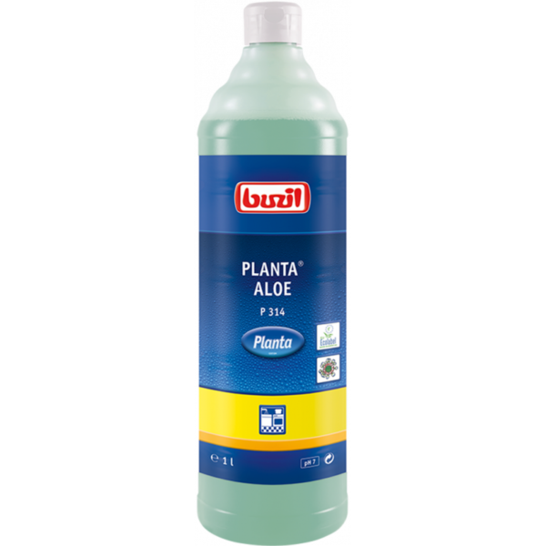 buzil-planta-aloe